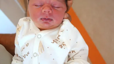 Amelia